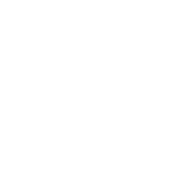 Stealth Traveler icon