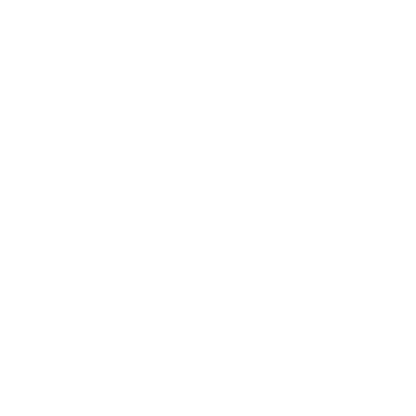 Secure investigator icon